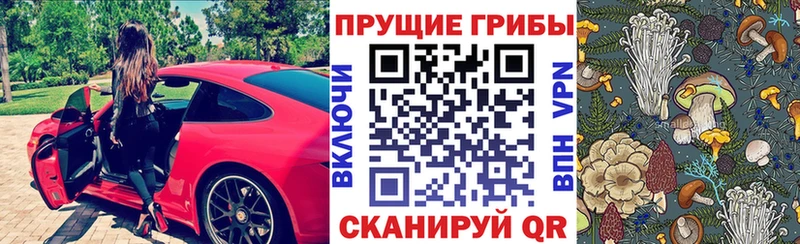 Галлюциногенные грибы GOLDEN TEACHER  закладка  Порхов 