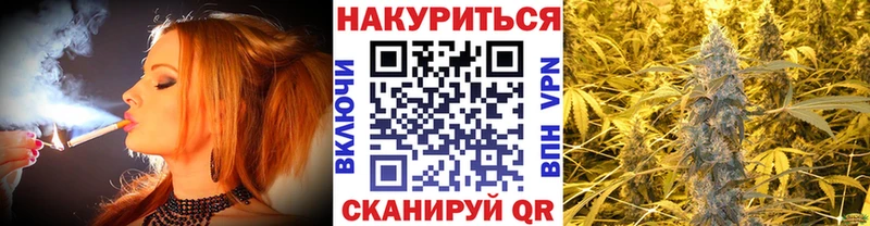 Каннабис гибрид  Порхов 